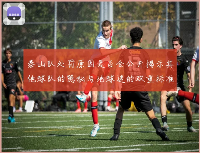 泰山队处罚原因是否会公开揭示其他球队的隐秘与地球迷的双重标准
